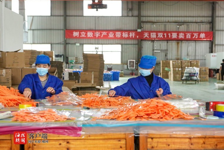 双十一小家电销量火爆的背后 日用百货变身购物车的常客